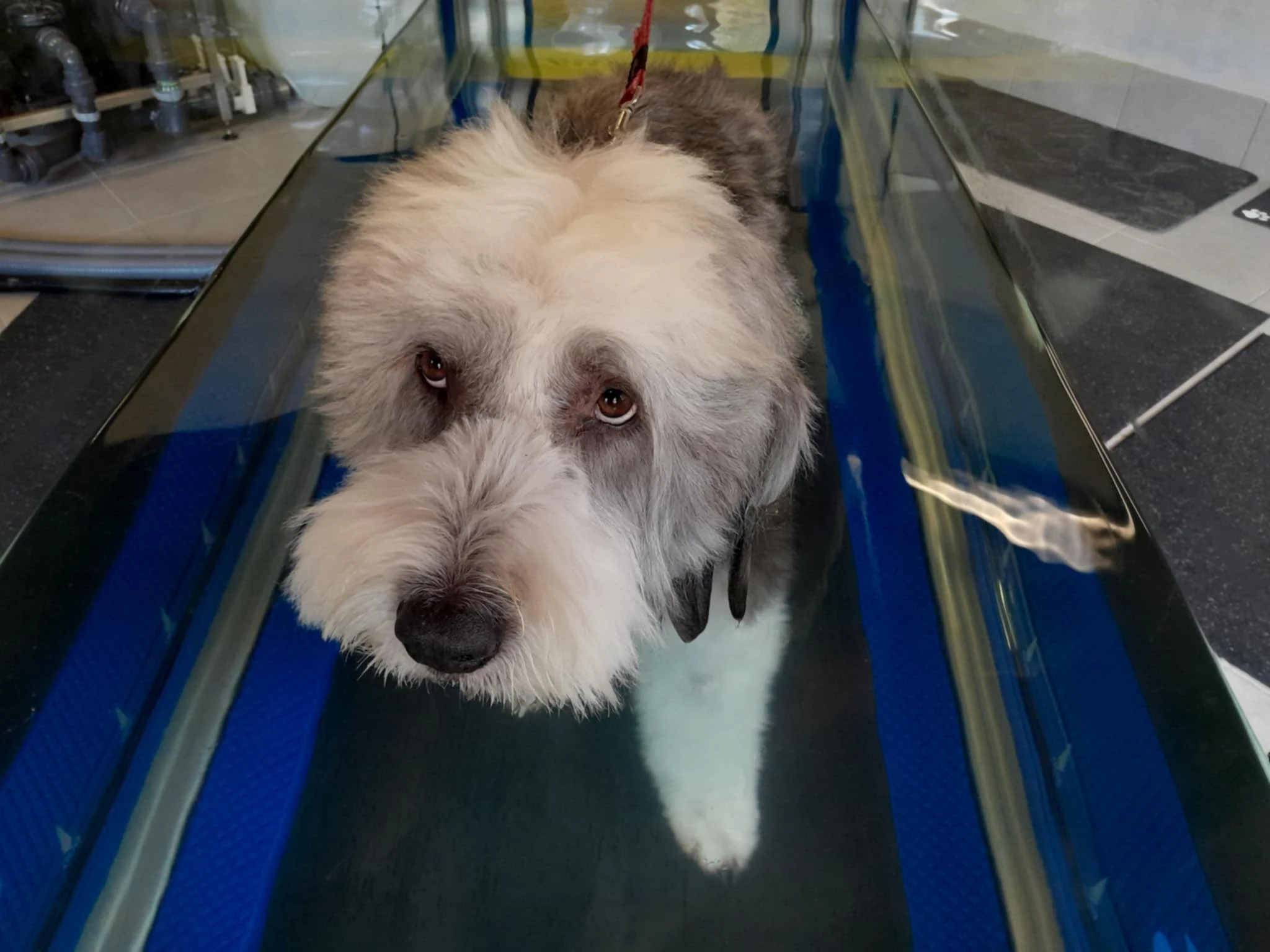 Follow up treatments