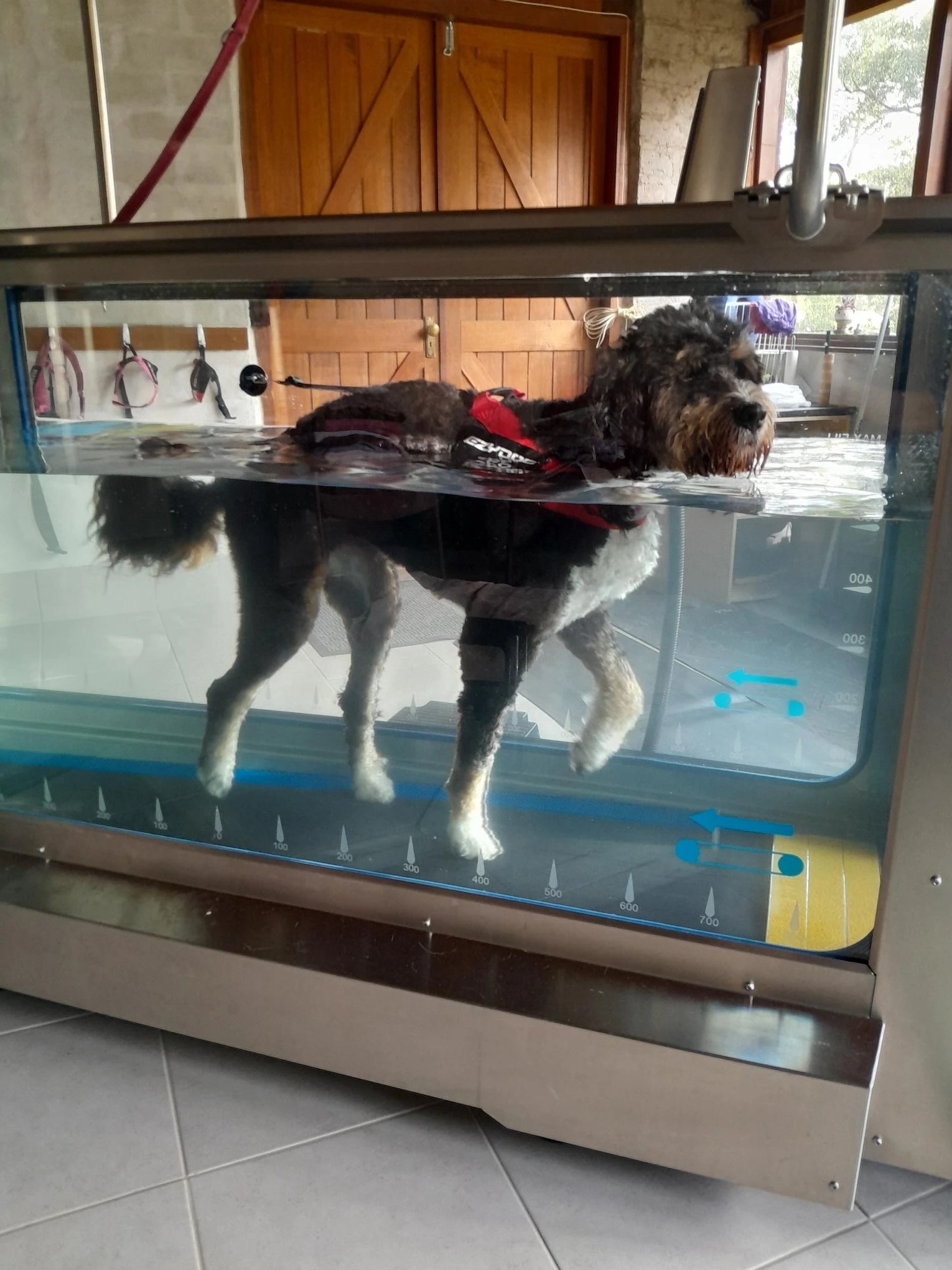 Hydrotherapy in action